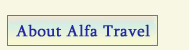 About Alfa Travel