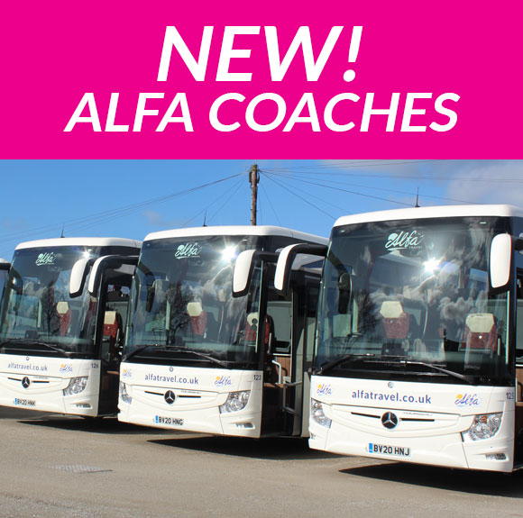 alfa travel from north east