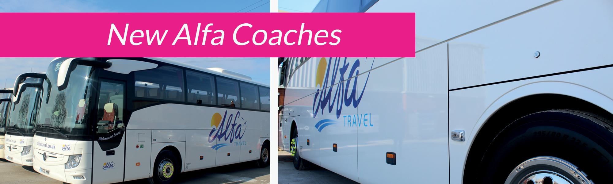 alfa coach tours