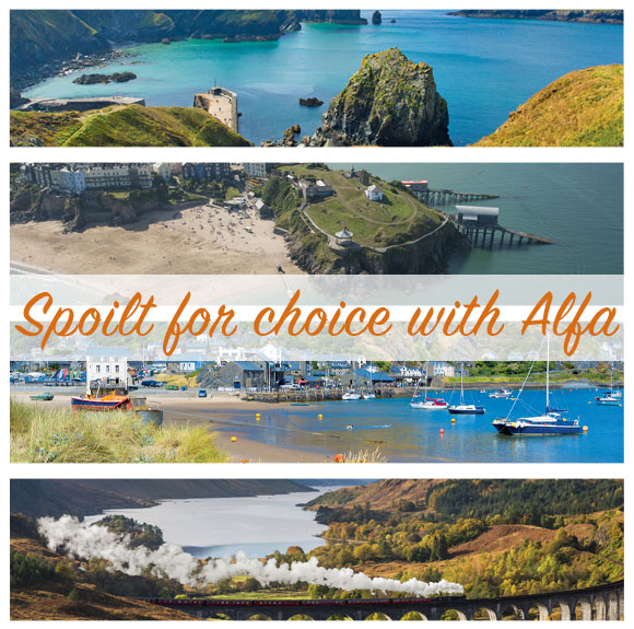 Spoilt for choice with Alfa - Alfa Travel