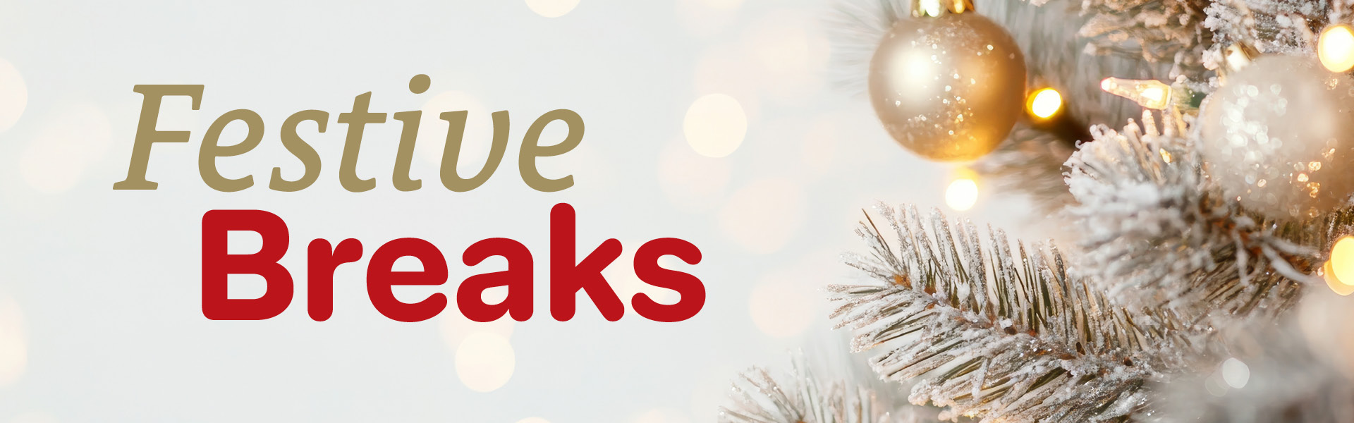 Festive Breaks