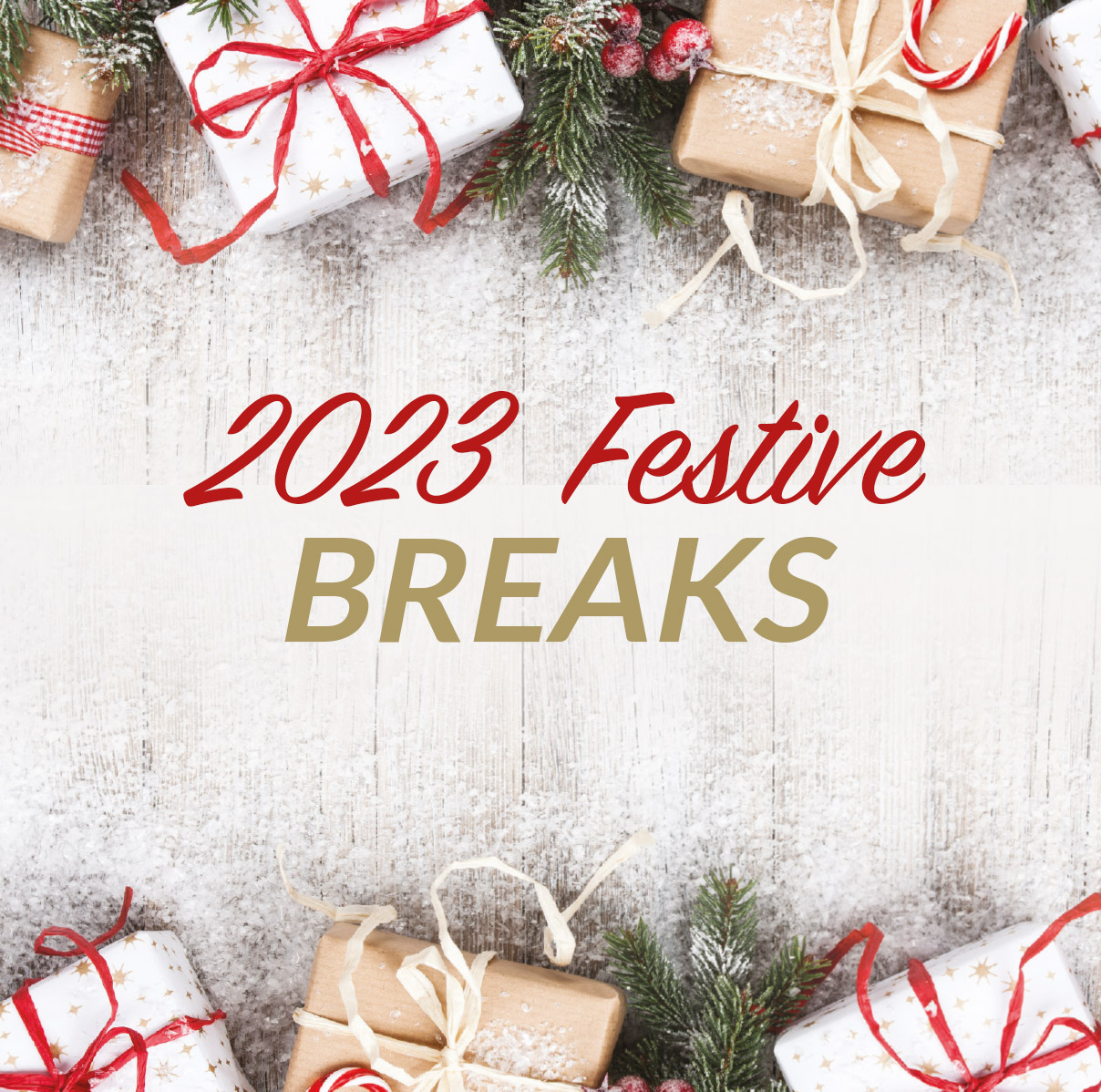 alfa travel festive breaks 2023