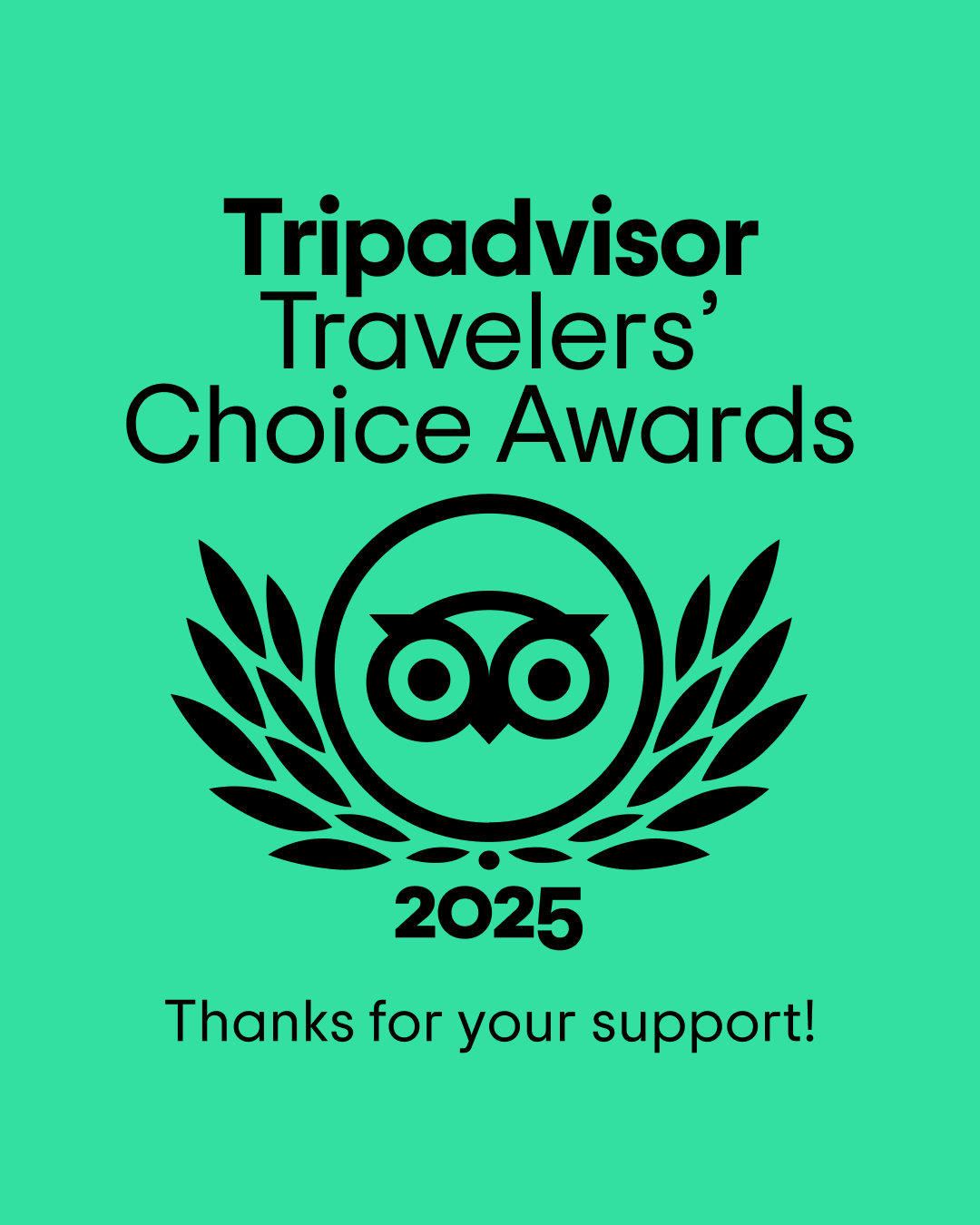 Travellers Choice Award Winners!