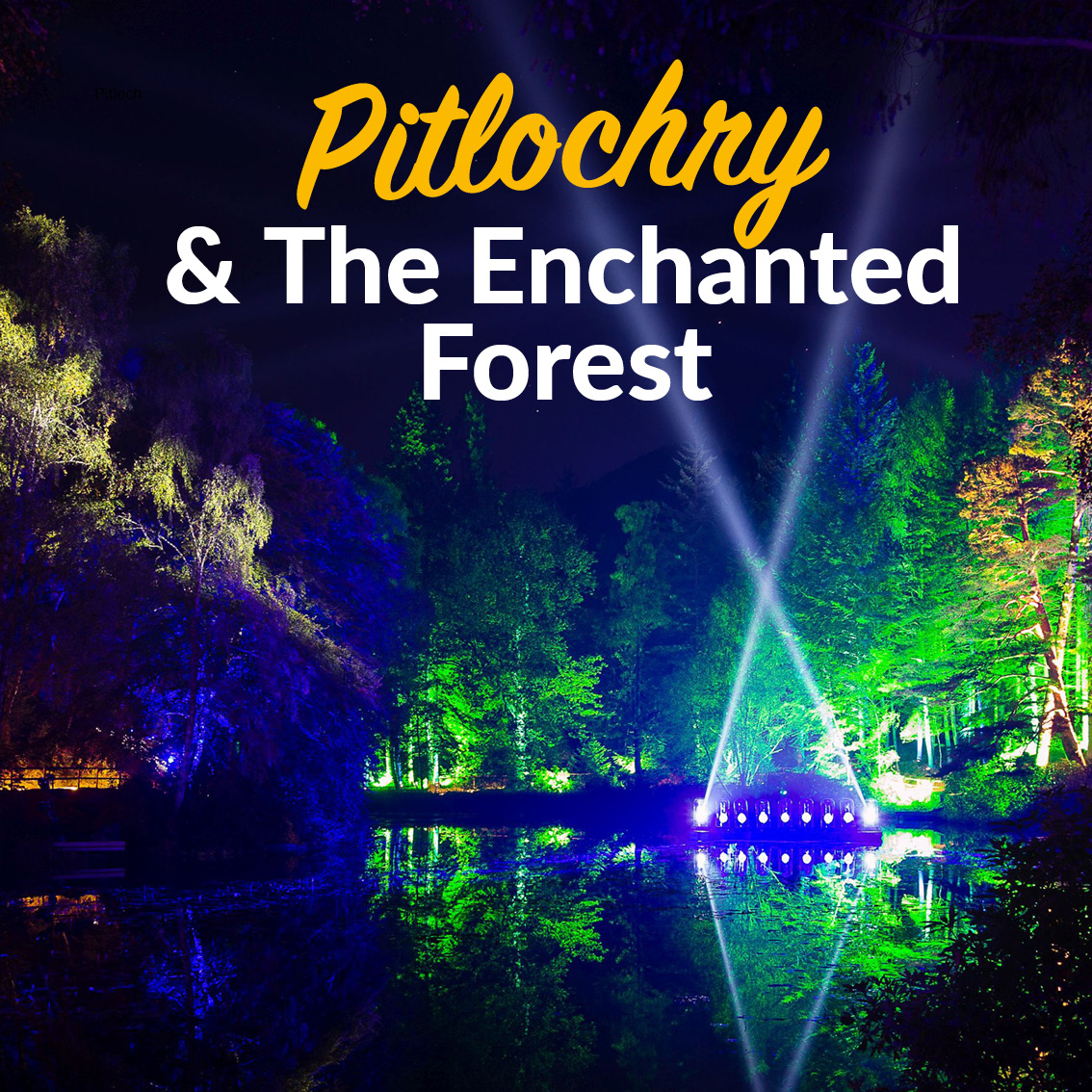Pitlochry & The Enchanted Forest Alfa Travel